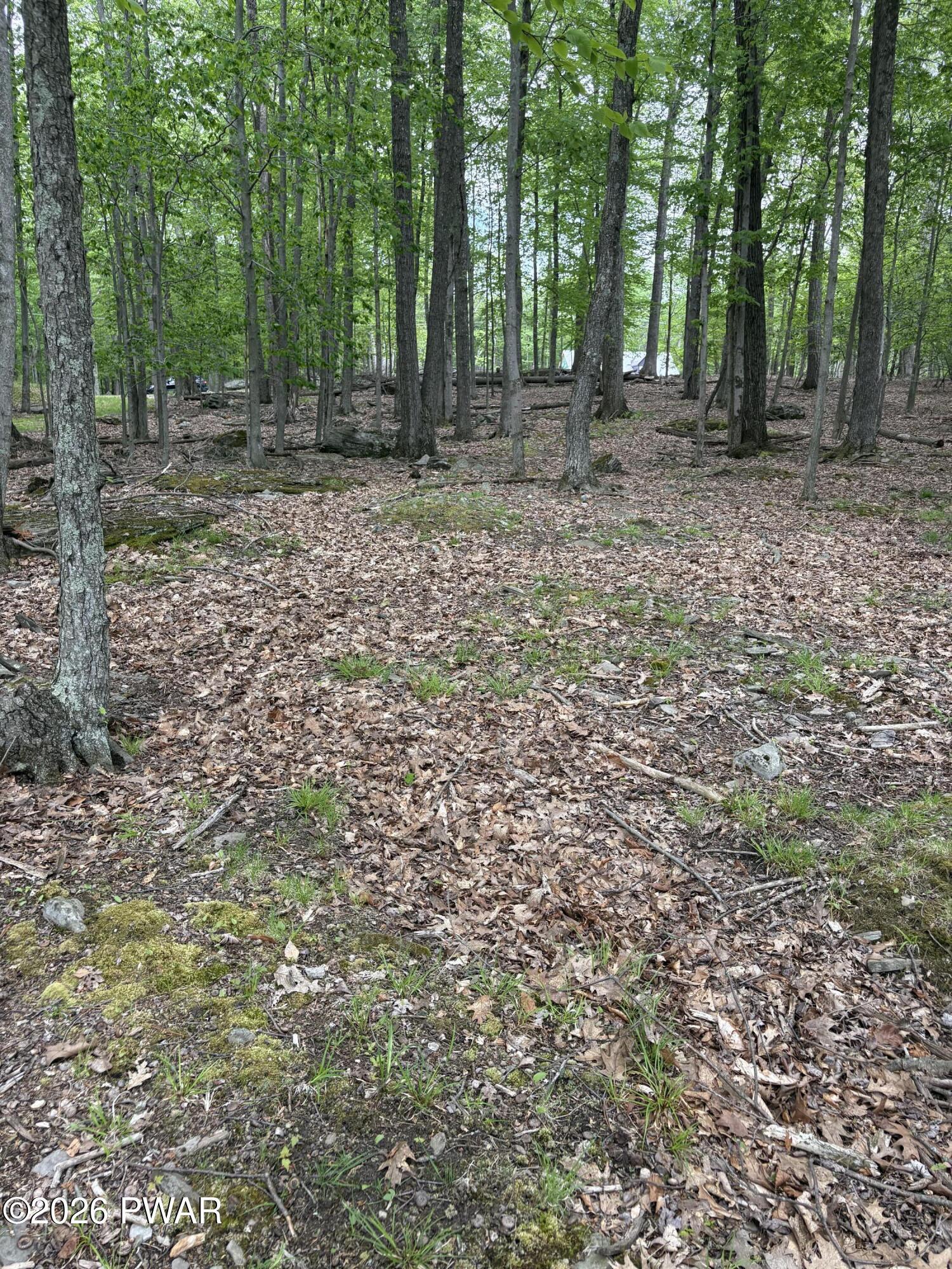 Image 3 Image 3