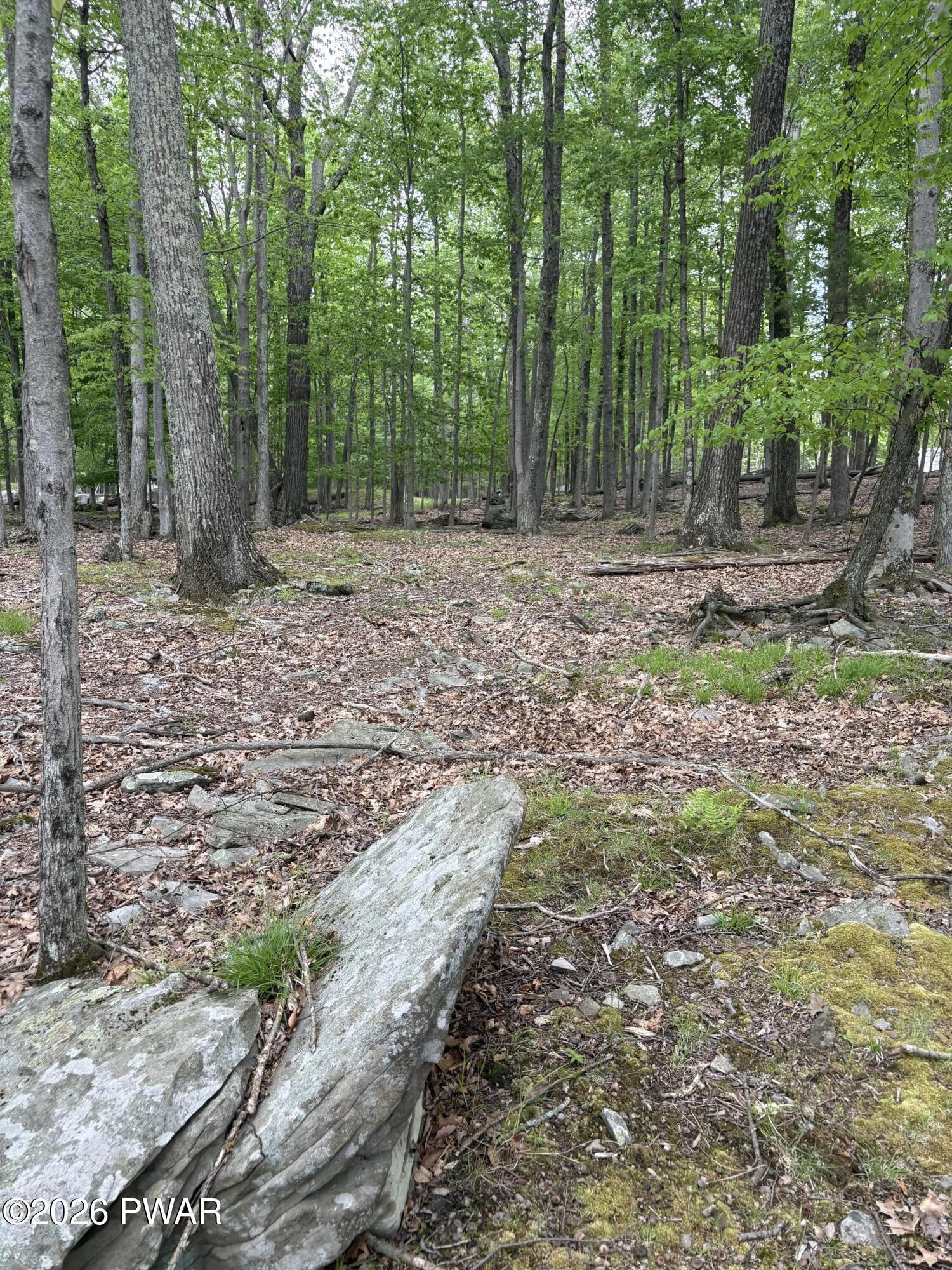 Image 4 Image 4