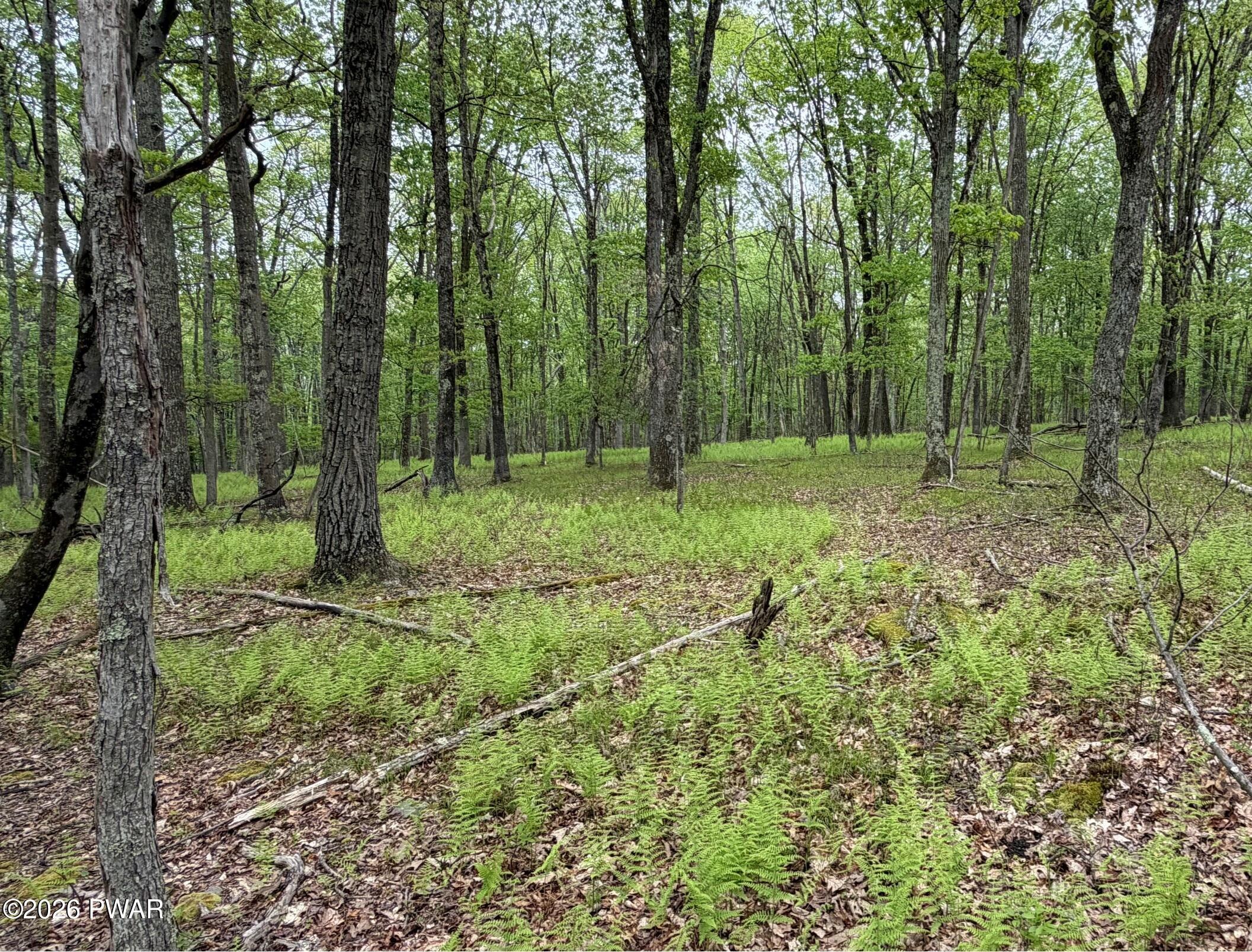 Image 4 Image 4