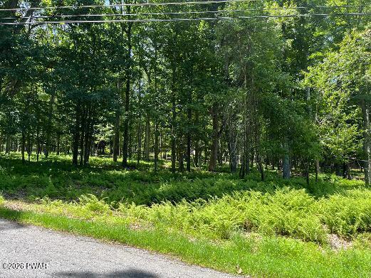 Image 1 Image 1