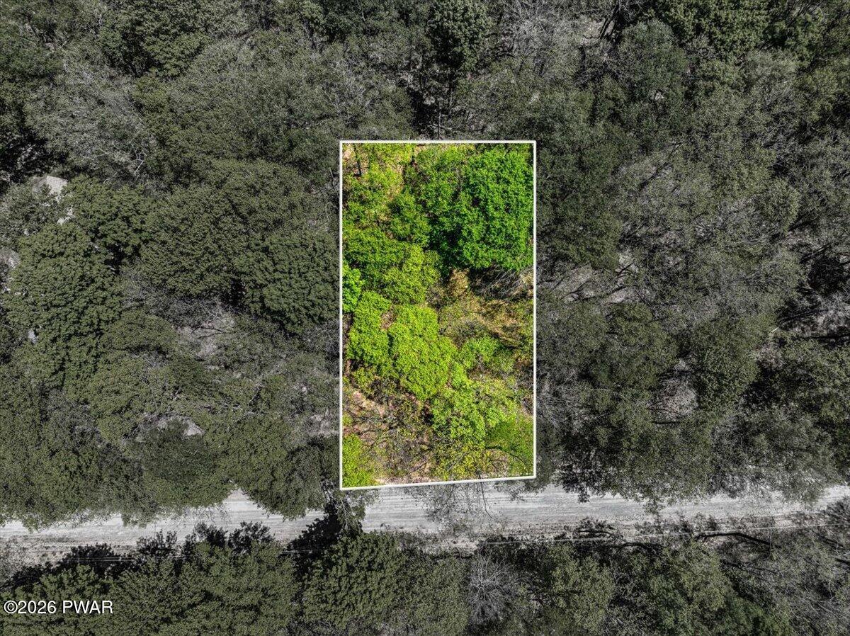 Image 2 Image 2