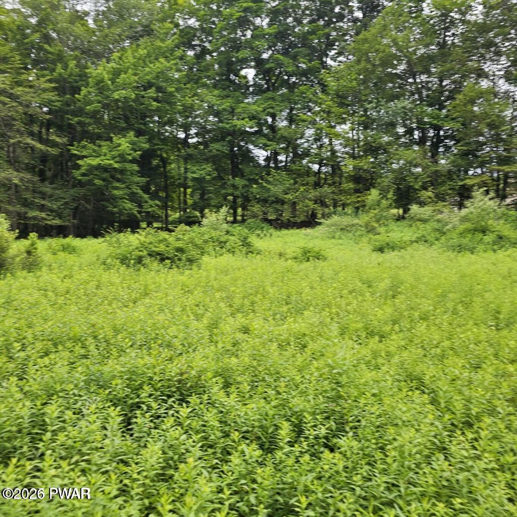 Image 4 Image 4