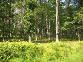 LOT 42 Fawn Lake Dr