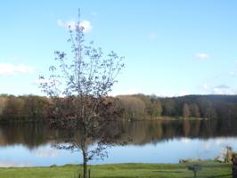 47 Lakeview Dr