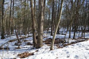 Lot 503 Timber Ridge Dr