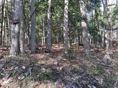 28 Chestnut Hill (lot 3448) Drive