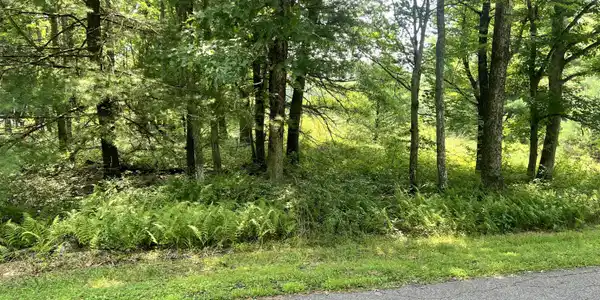 117 Buckboard Lane