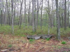 Lot 16 MADISON Ct
