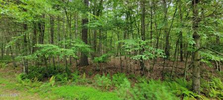Lot 45 Hawks Nest Drive