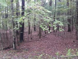 LOT 536 TIMBER RIDGE Dr