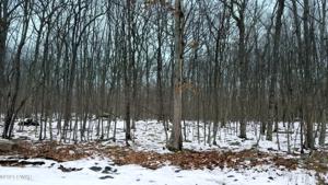 Lot 73 Stone Dr
