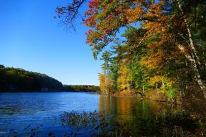 829 Welcome Lake Rd