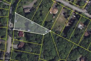 1003(38) Forest Ln