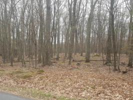 136 Oak Ridge Cir