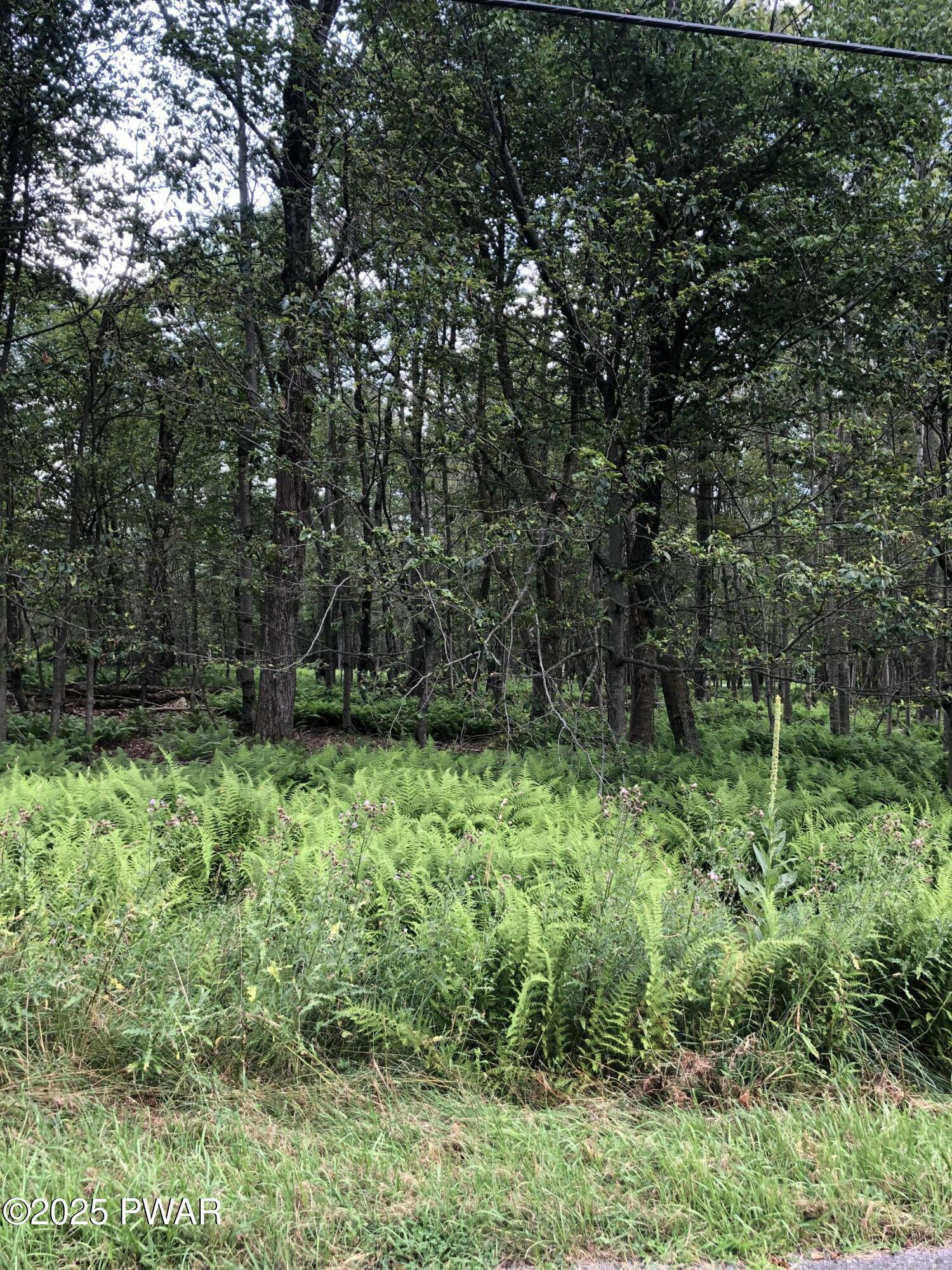Image 4 Image 4