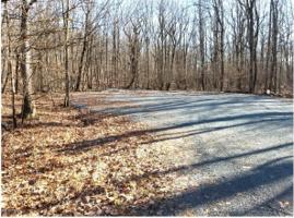 212 Fawnwood Court