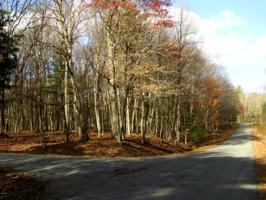 Blueberry Ln