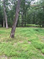 Oneida Rd