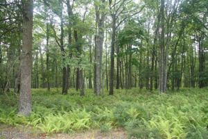 LOT 27 PARKWOOD Dr