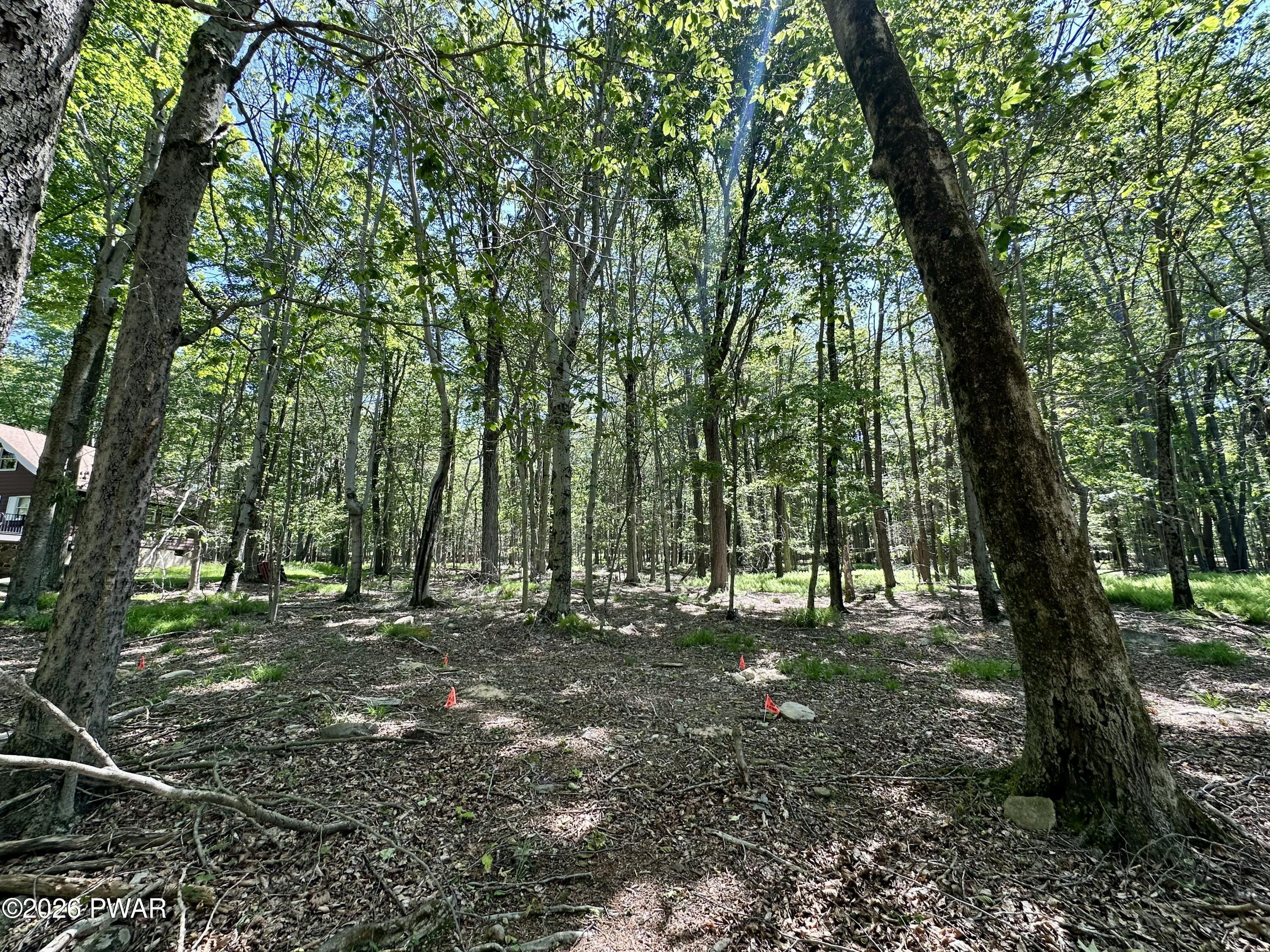 Image 3 Image 3