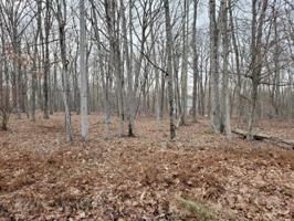 Lot 59 Deer Trail Dr