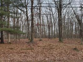Lot 63 Forest Ridge Dr