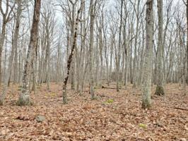 Lot 36 Forest View Dr