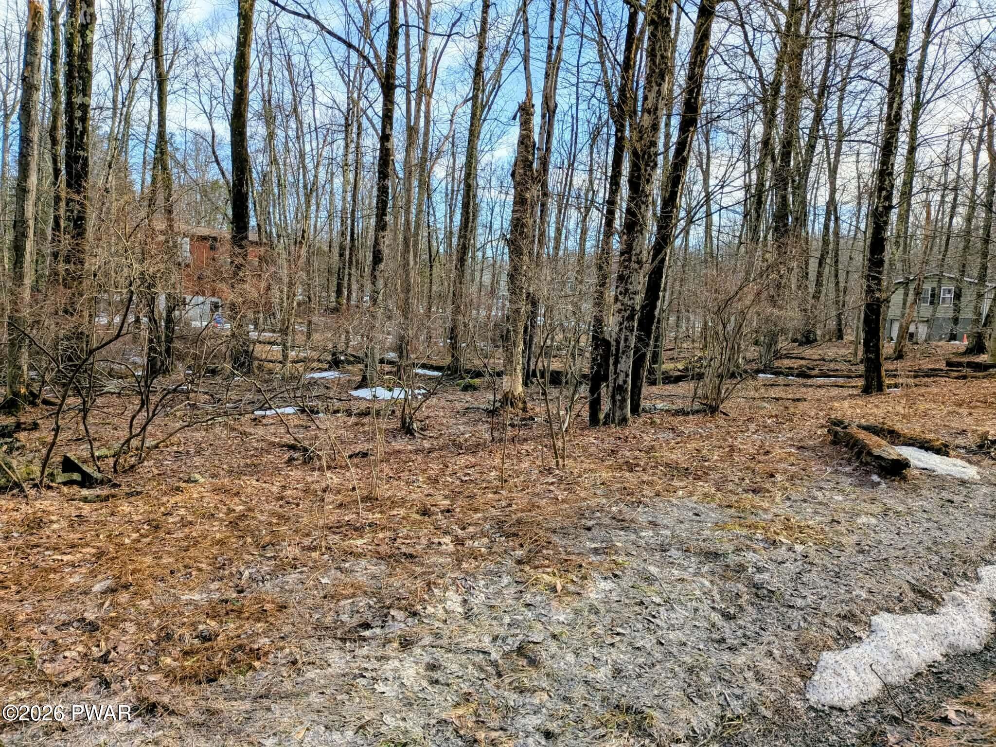 Image 1 Image 1