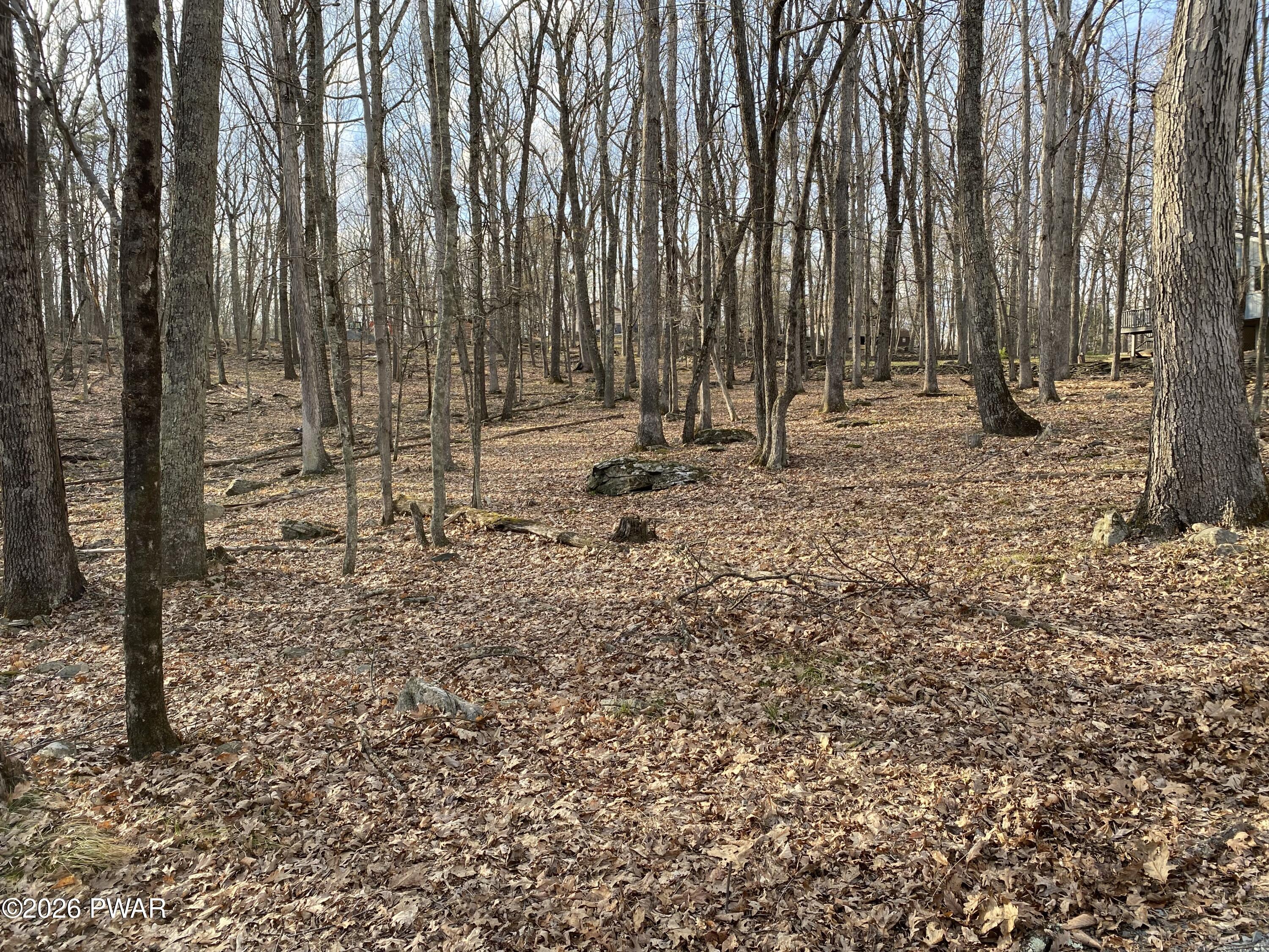 Image 3 Image 3