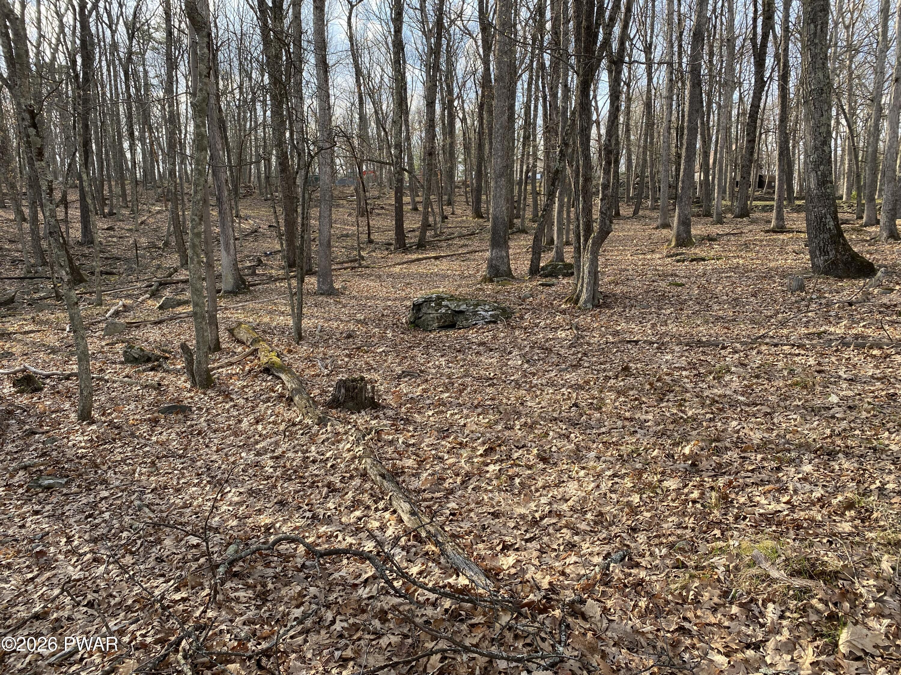 Image 4 Image 4