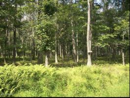 Lot #238 Oak Hill Rd