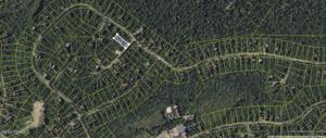 6 Burnwood Pt