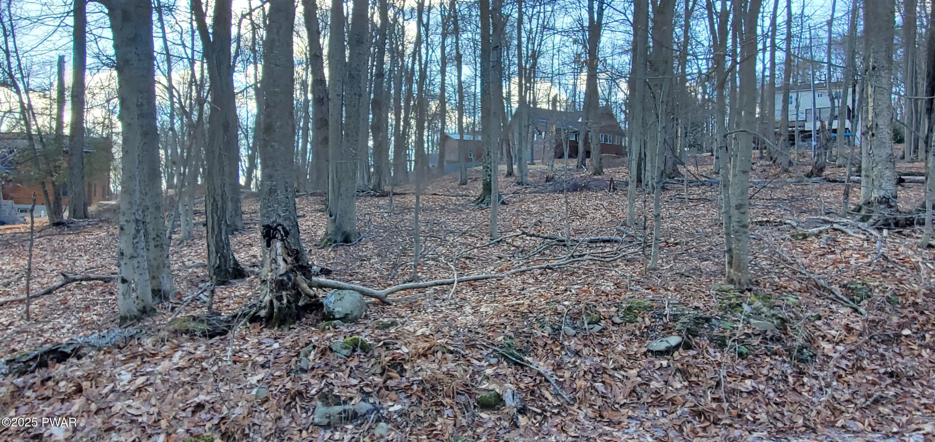 Image 4 Image 4