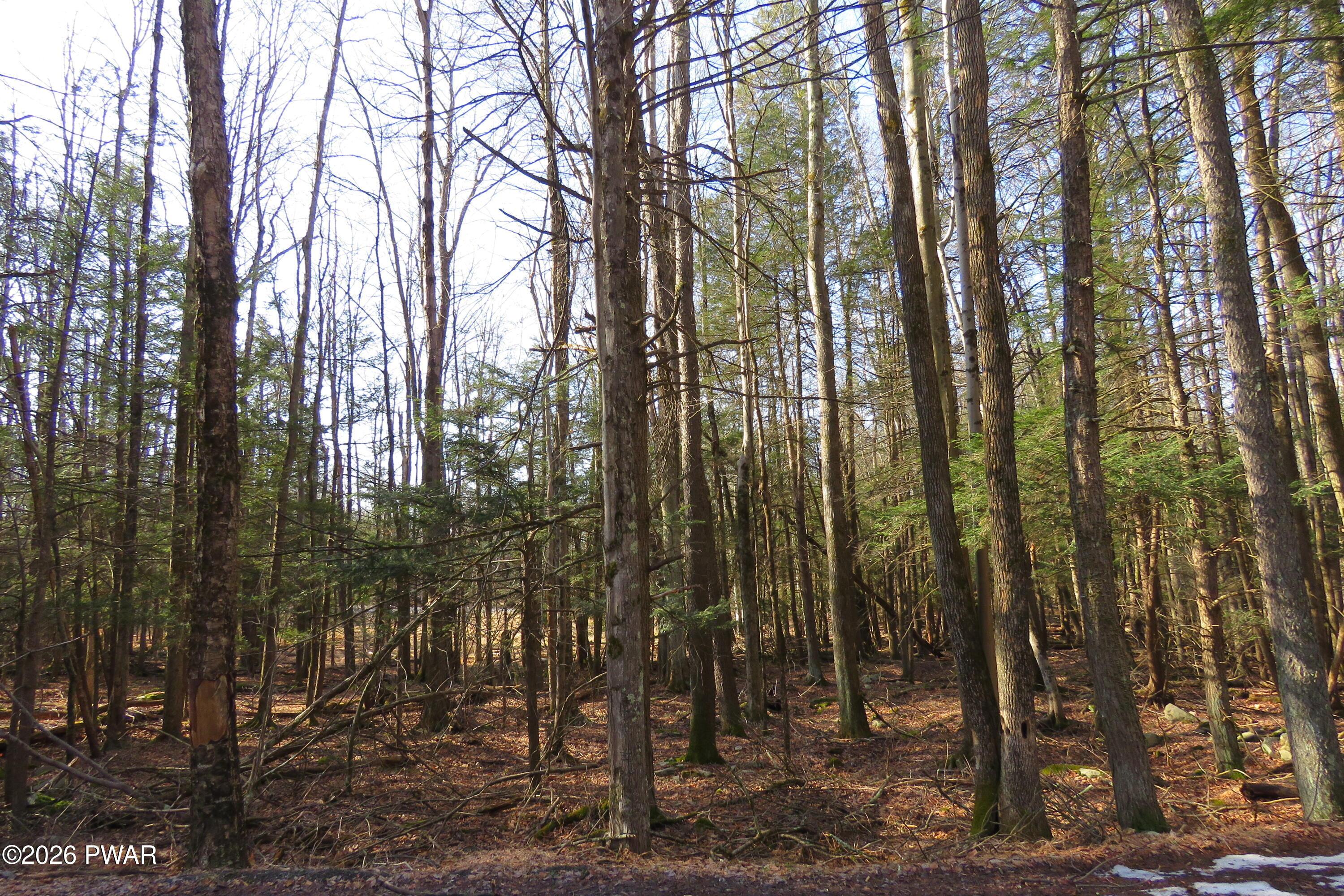 Image 3 Image 3