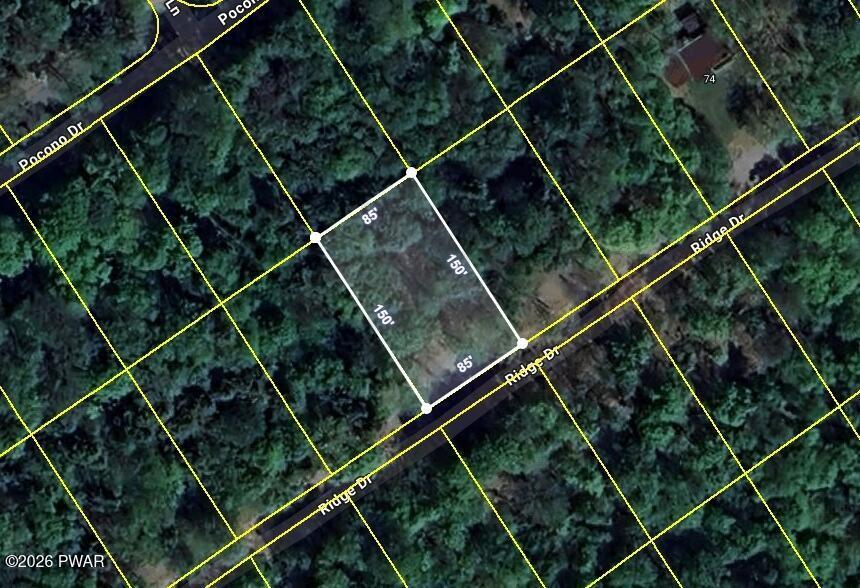 Image 3 Image 3