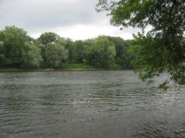 1155 Delaware Dr
