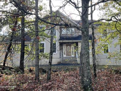113 Fetlock Drive
