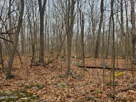Lot 74 Stone Dr