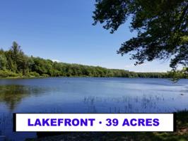 Spruce Lake Rd