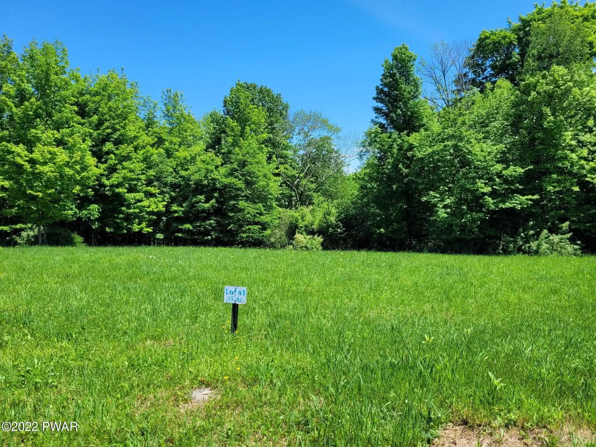Image 1 Image 1