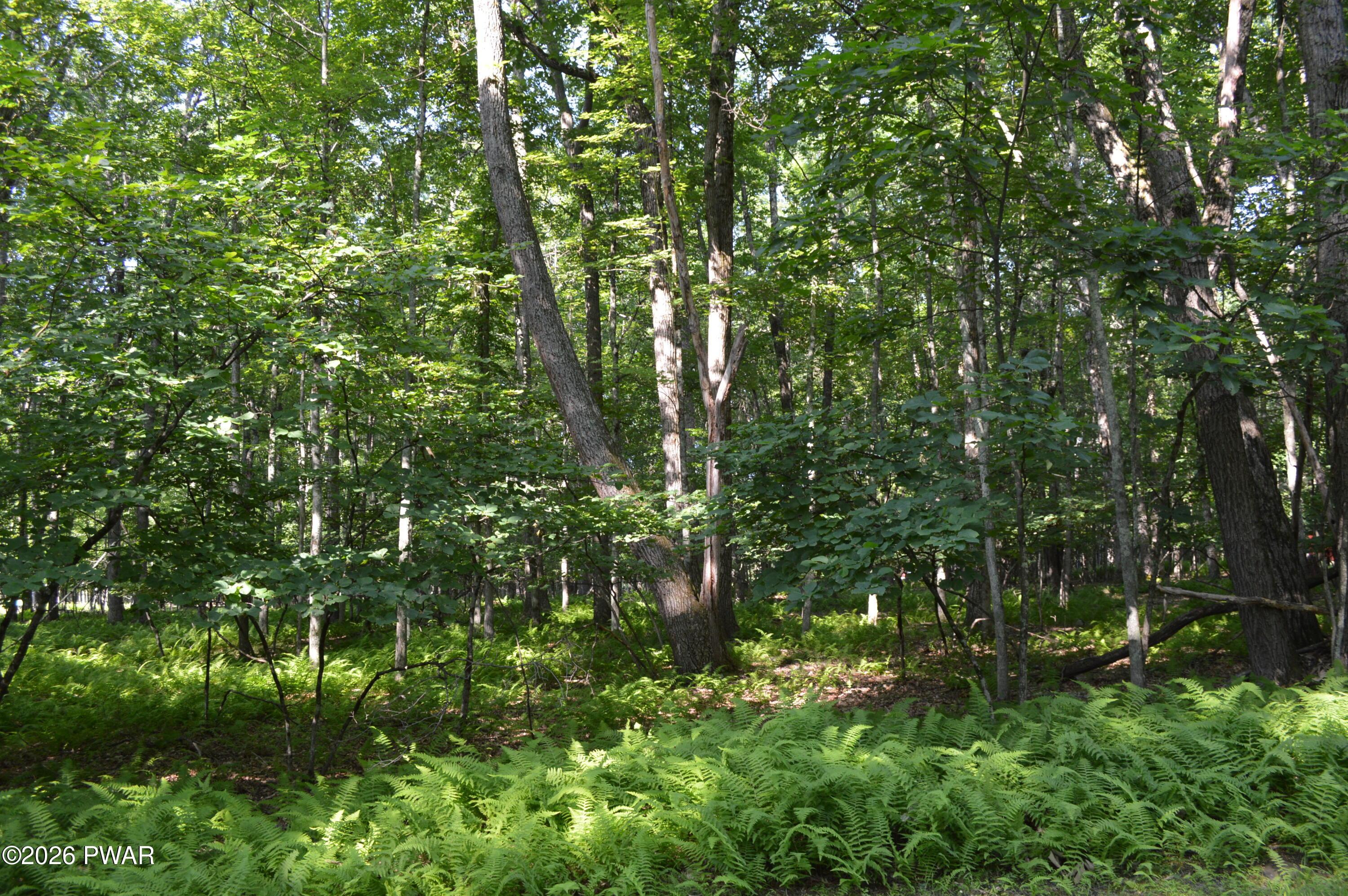 Image 3 Image 3