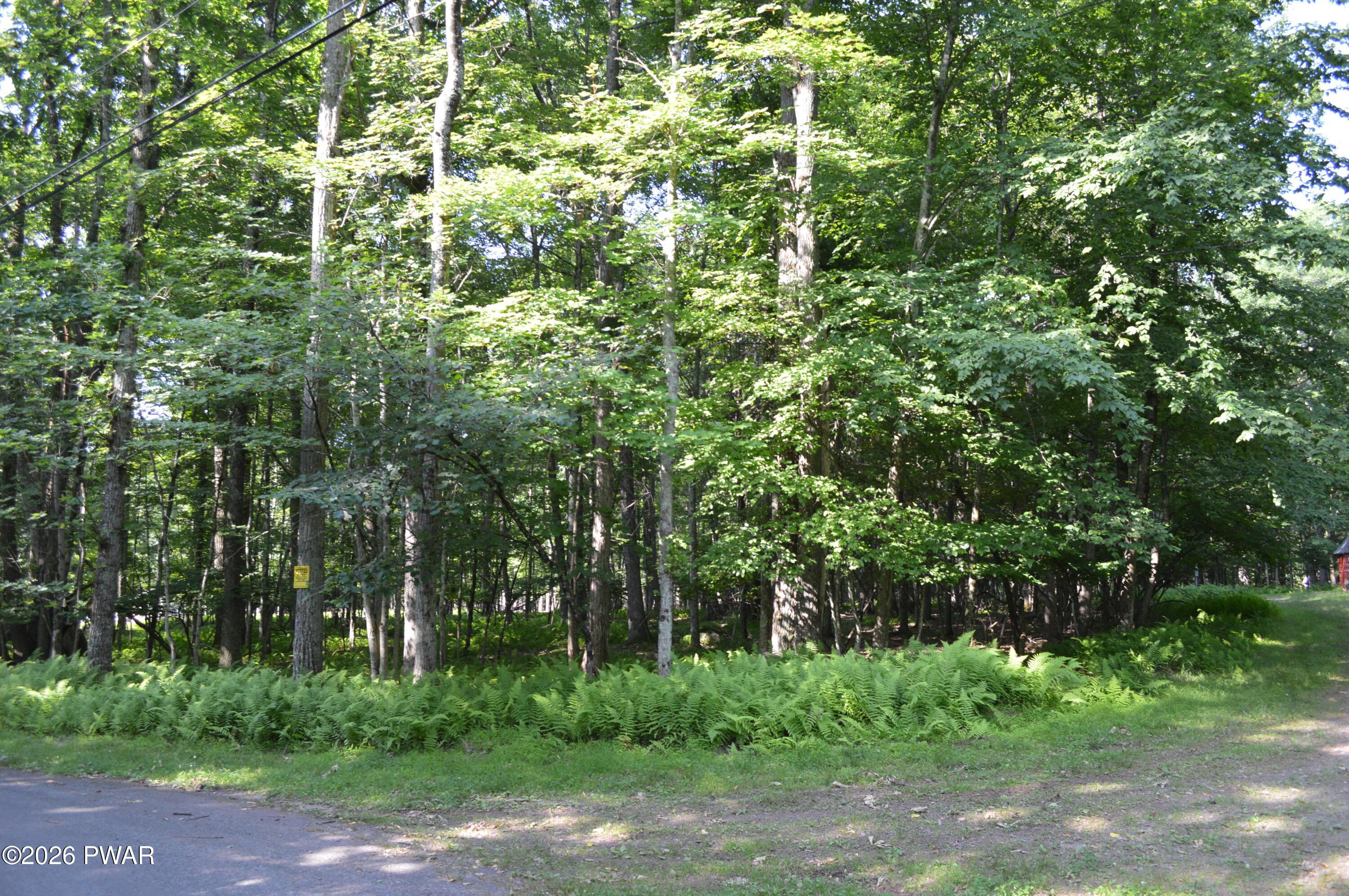 Image 4 Image 4