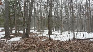 Lot 13 Elderberry Dr