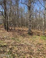 122/124 Arbor Dr