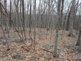 Lot 135 Lower Independence Dr
