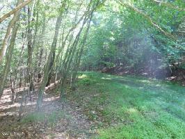 LOT 389 Creek Court 