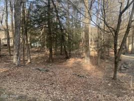 10 Hickory Dr