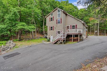 141 Paper Birch S