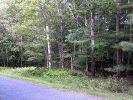Lot 5 Covered Bridge Dr