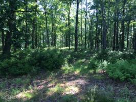 Lot 8 Carol's Ln